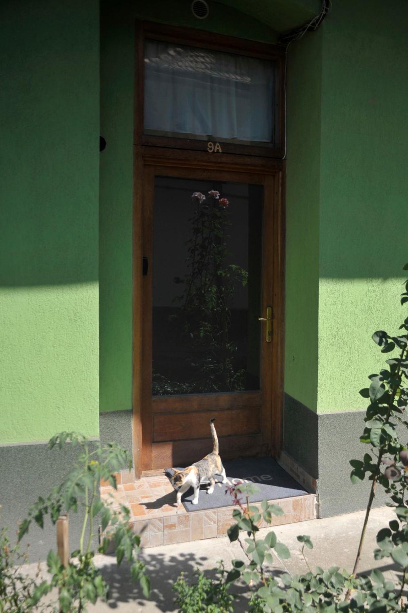 Atu Central Apartment Cluj-Napoca Ngoại thất bức ảnh